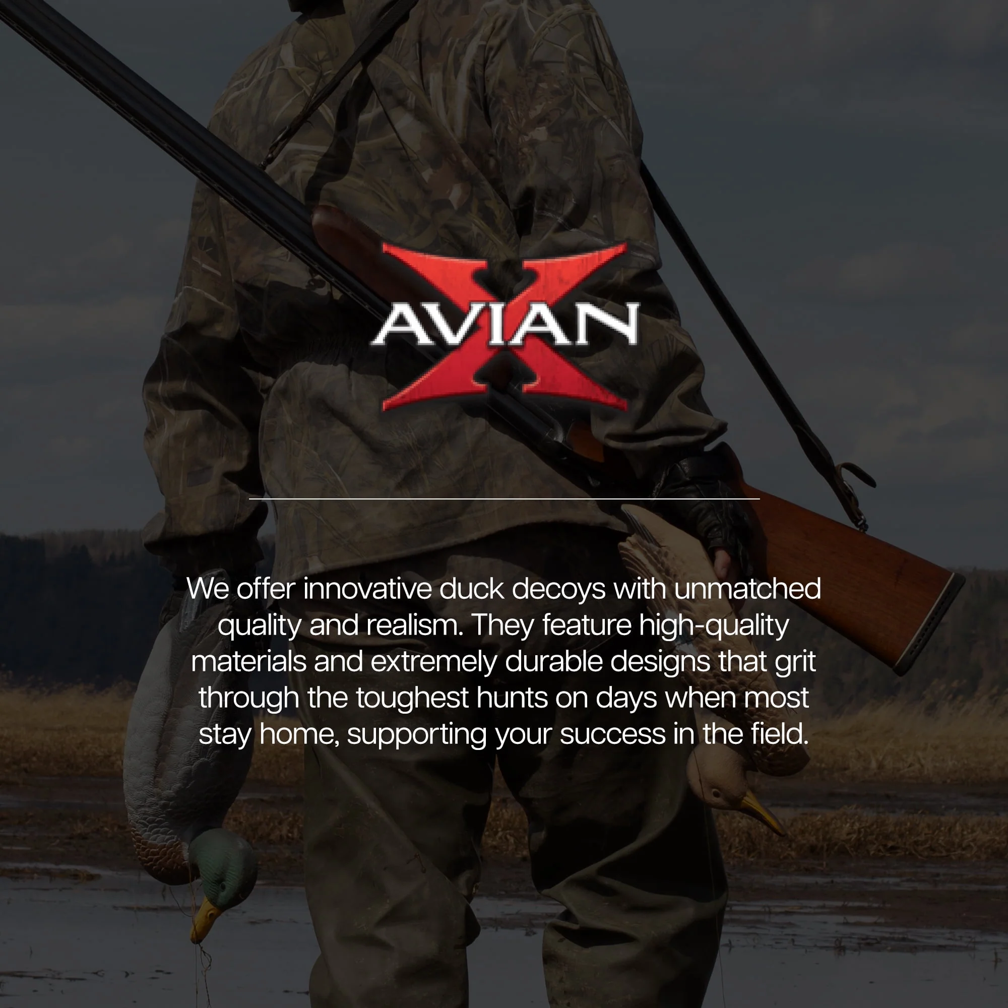 Avian-X Topflight Canvasback Duck Decoys, Set of 6, Realistic Floating Hunting Decoys with Weight-Forward Swim Keel, Multicolor, AVX-AVX8086 - Image 5