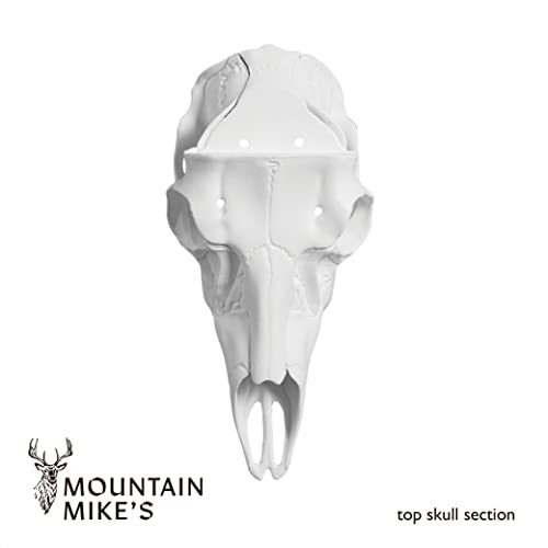 ELK RECORD KEEPER SKULL KIT - NONE - ELK - Image 8