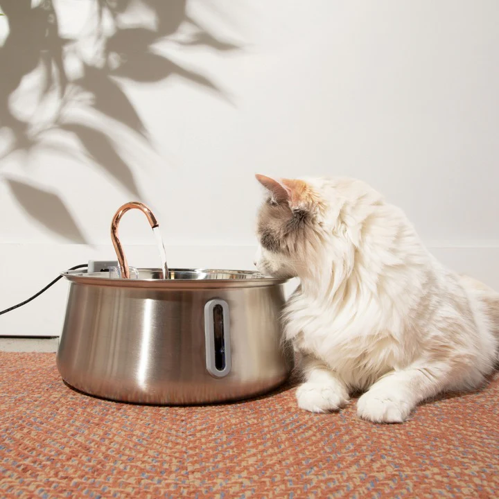 KittySpout 2.0 - Health & Happiness Cat Kit - 6 Month: KittySpout + 12 filter sets + extra pump + AC adapter - Image 2