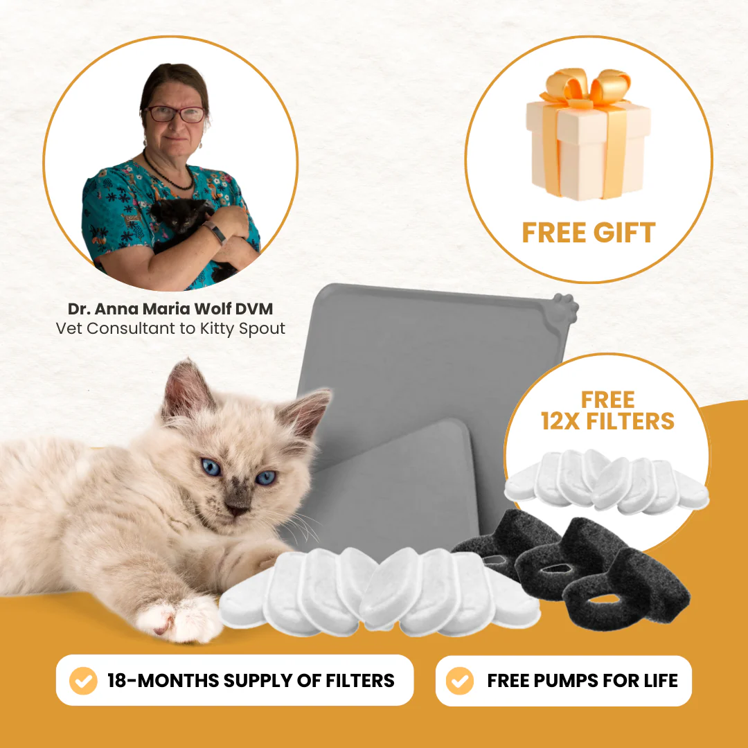 KittySpout Dr. Anna Maria Wolf's Complete Hydration Kit