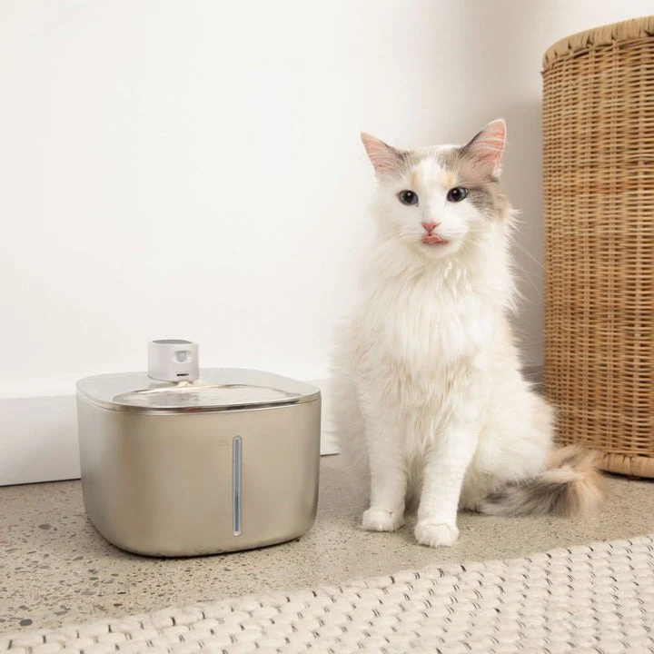 KittySpout Wireless Fountain, Silver - Durable - Image 3