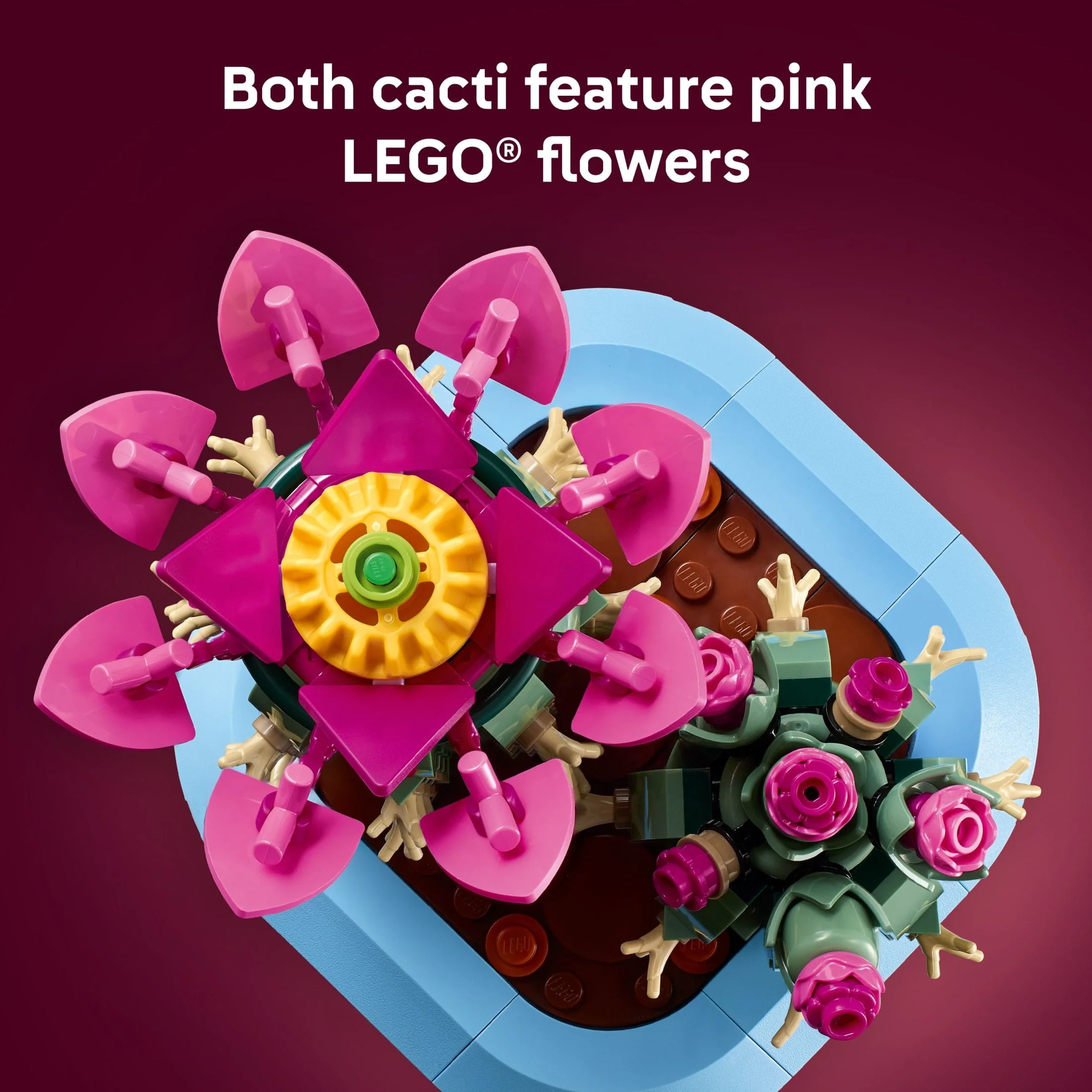 LEGO Botanicals Flowering Cactus Building Toy, Creative Crafting Kit with 482 Pieces, Multicolor, 11509 - Image 6