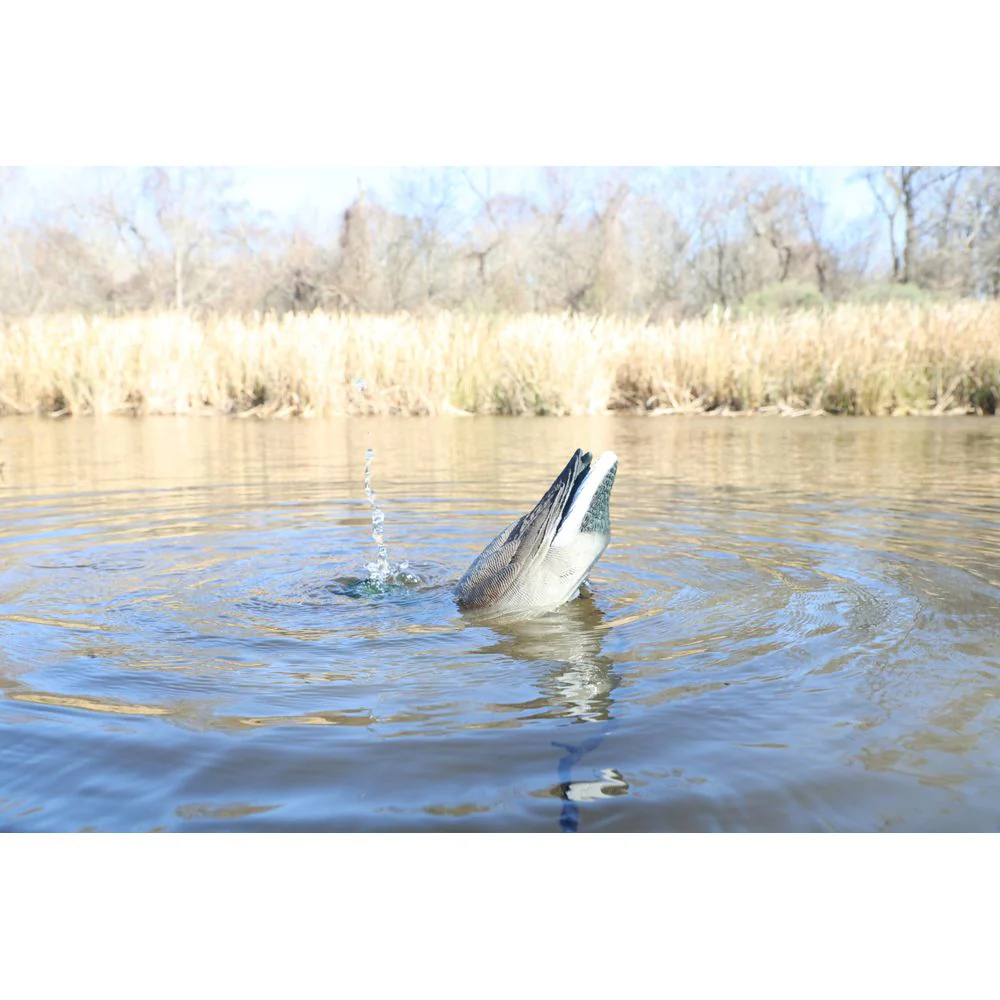 MOJO Outdoors Hw2554 Dabbler Motorized Feeding Duck Decoy - Image 4