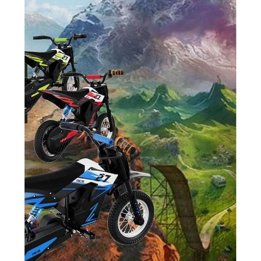 RCB RCB-RX9-3 R9X Electric Dirt Bike, 36V-300W-10Miles, Green - Image 2