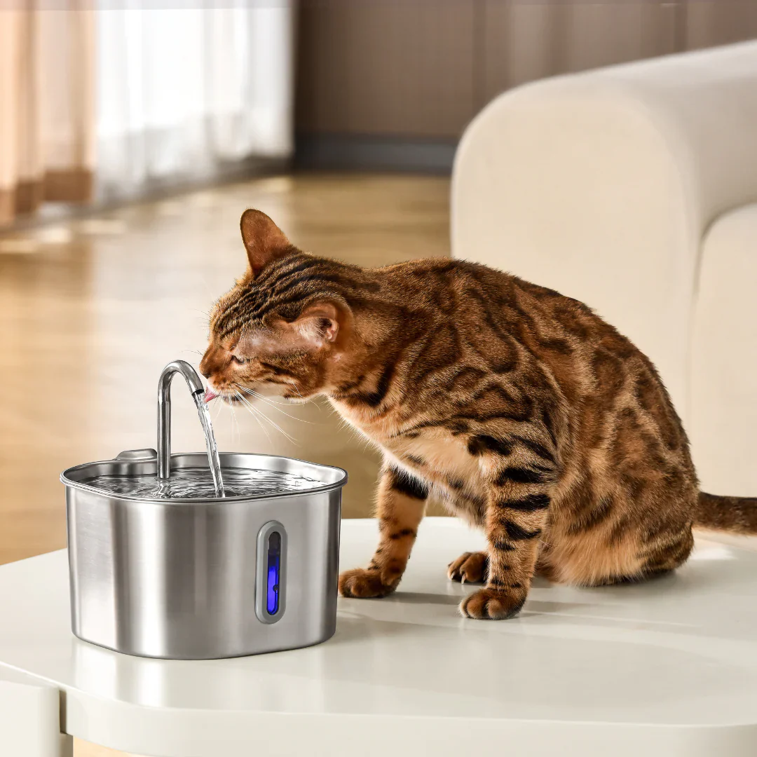 The KittySpout Health & Happiness Cat Kit (2.2L), 2 Month: KittySpout + 4 filter sets + AC adapter - Image 2