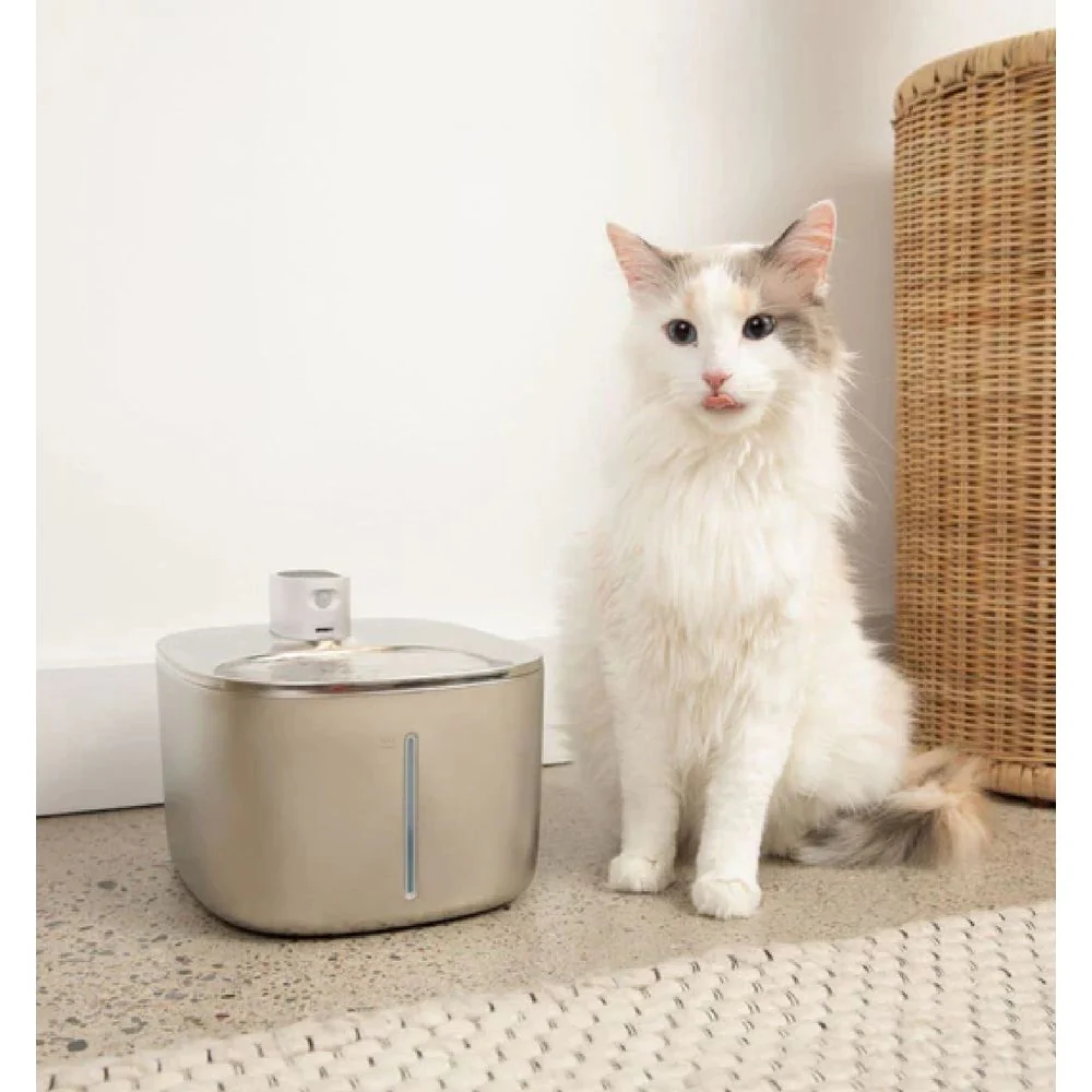 The KittySpout Wireless KittySpout Value Bundle