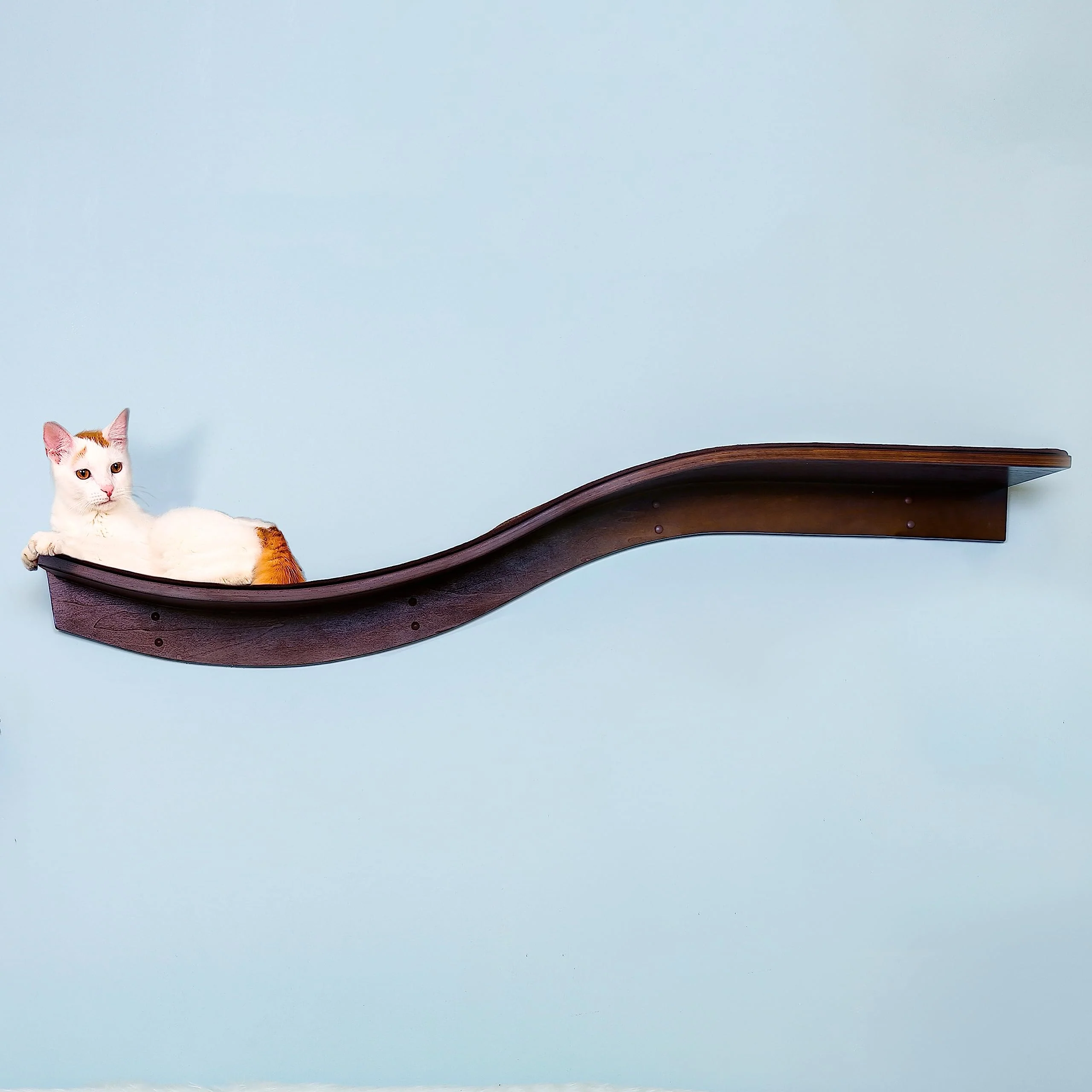 The Refined Feline Lotus Branch Cat Shelf, 60 Inch, Mahogany Brown, Replaceable Berber Carpet, Wall-Mounted with Heavy-Duty Anchors - Image 2