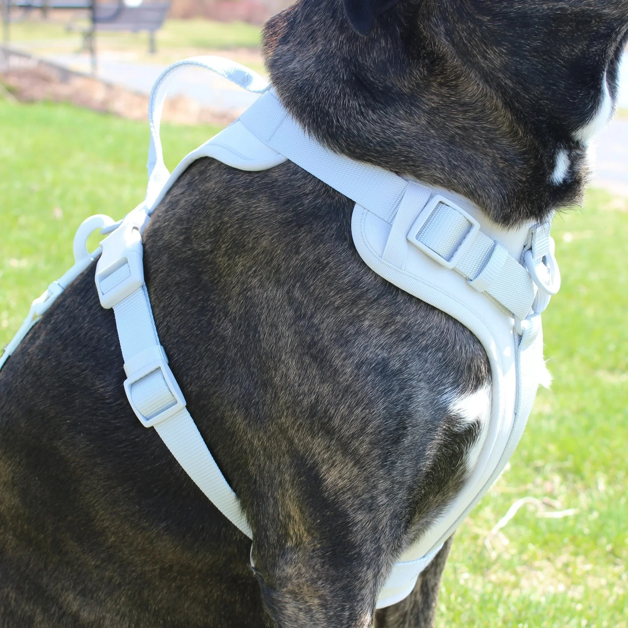 Vibrant Life Neoprene Comfort Control Monochrome Harness, Gray, Small - Image 2